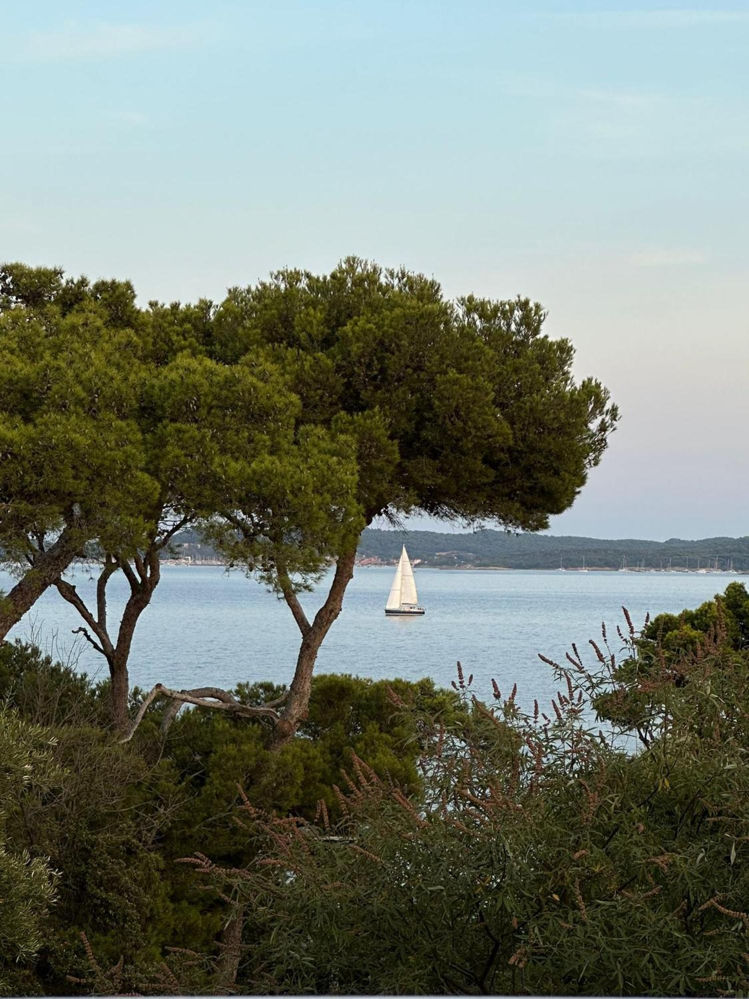 L'Instant Plage - Vue Mer - Bord De Plage - La Capte - Cote D'Azur Hyeres Luaran gambar