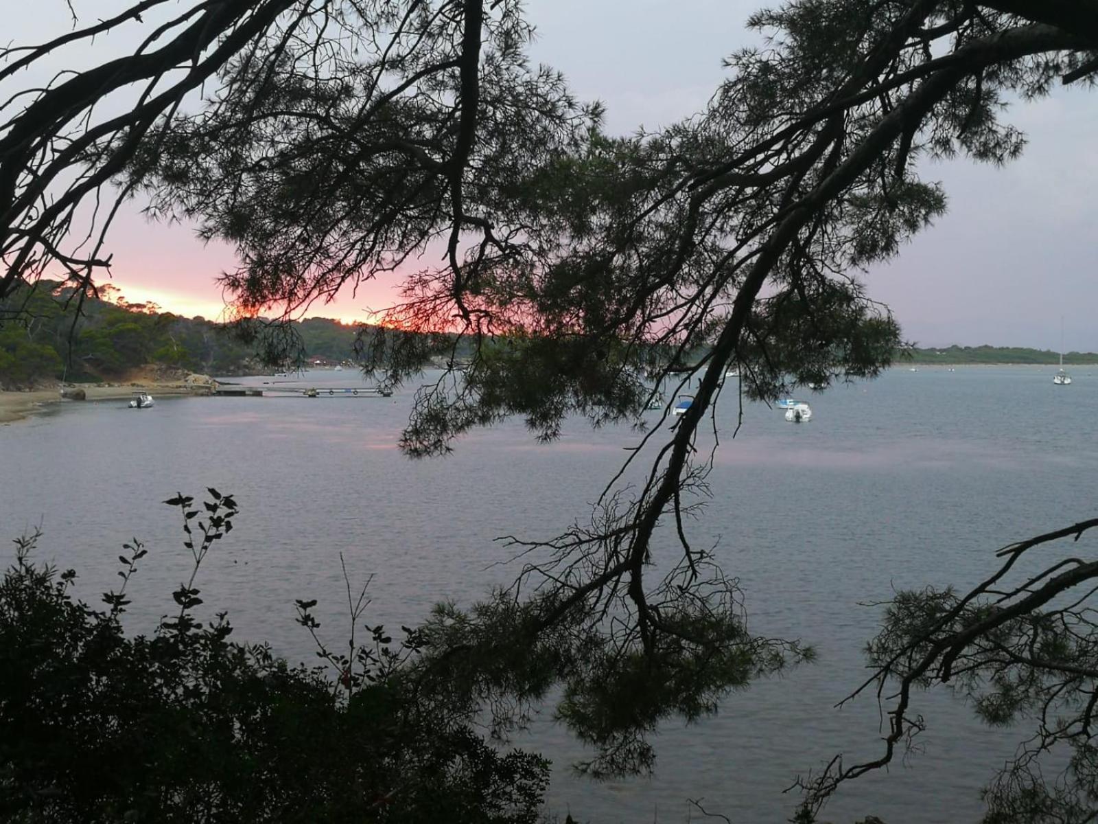 L'Instant Plage - Vue Mer - Bord De Plage - La Capte - Cote D'Azur Hyeres Luaran gambar